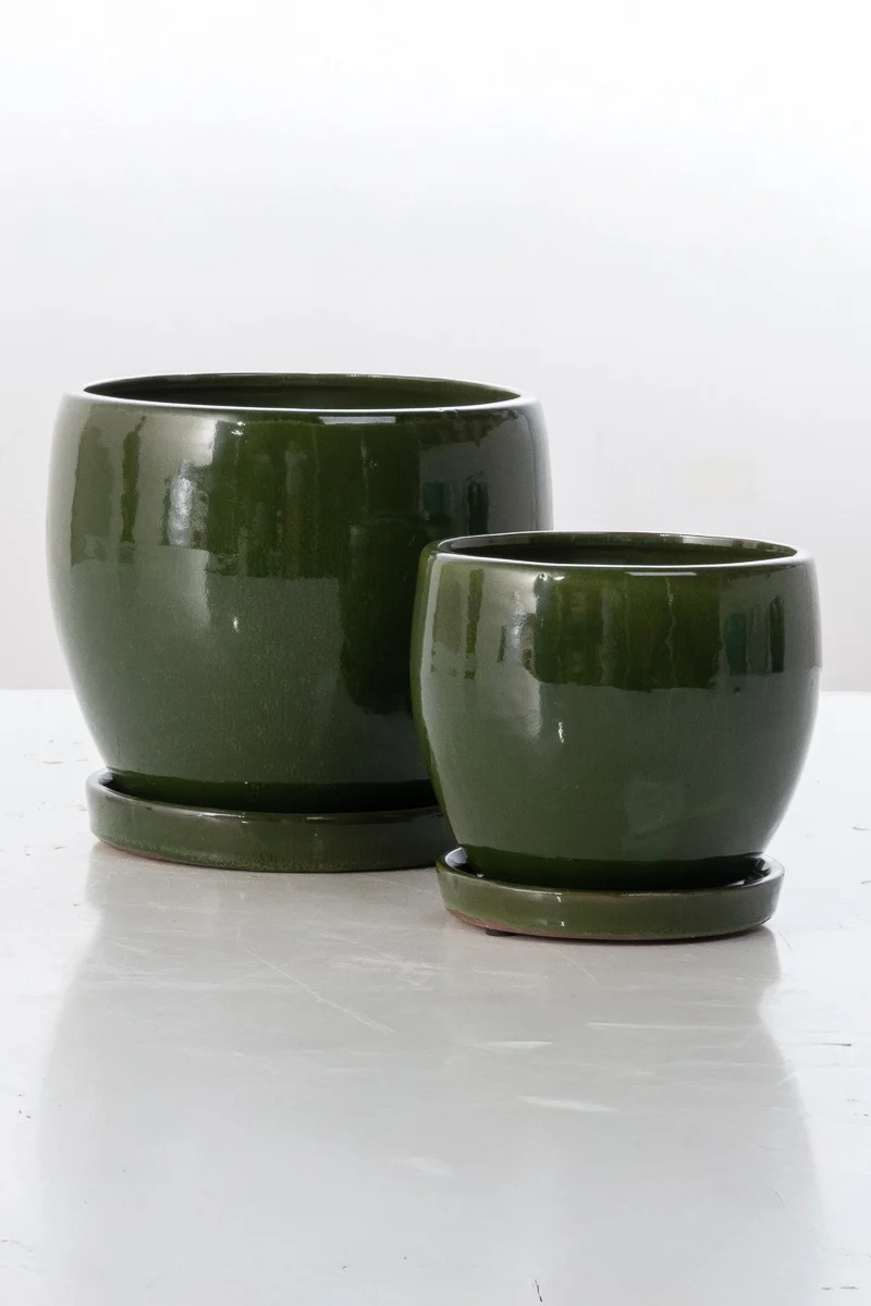 Alfresco Nicola Petits Pot with Saucer Large Dark Green