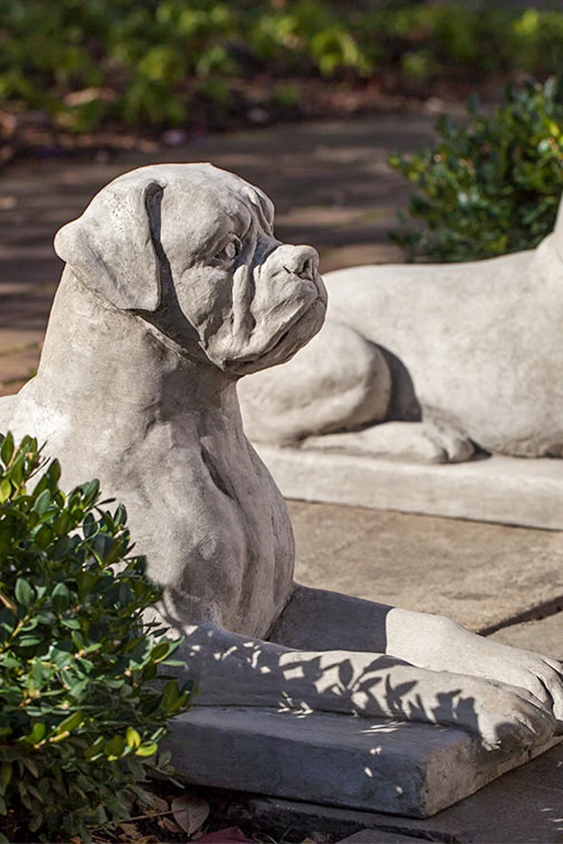 Campania Boxer Dog Statue GS Finish - Image 3
