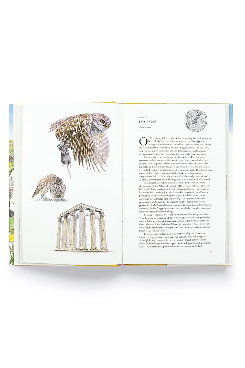 Around the World in 80 Birds - Image 2