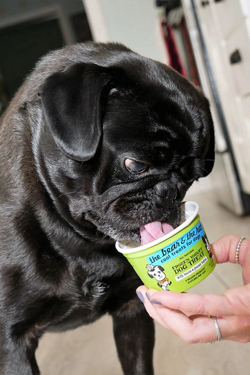 The Bear and The Rat Frozen Yogurt 4 Pack Bacon & Peanut Butter