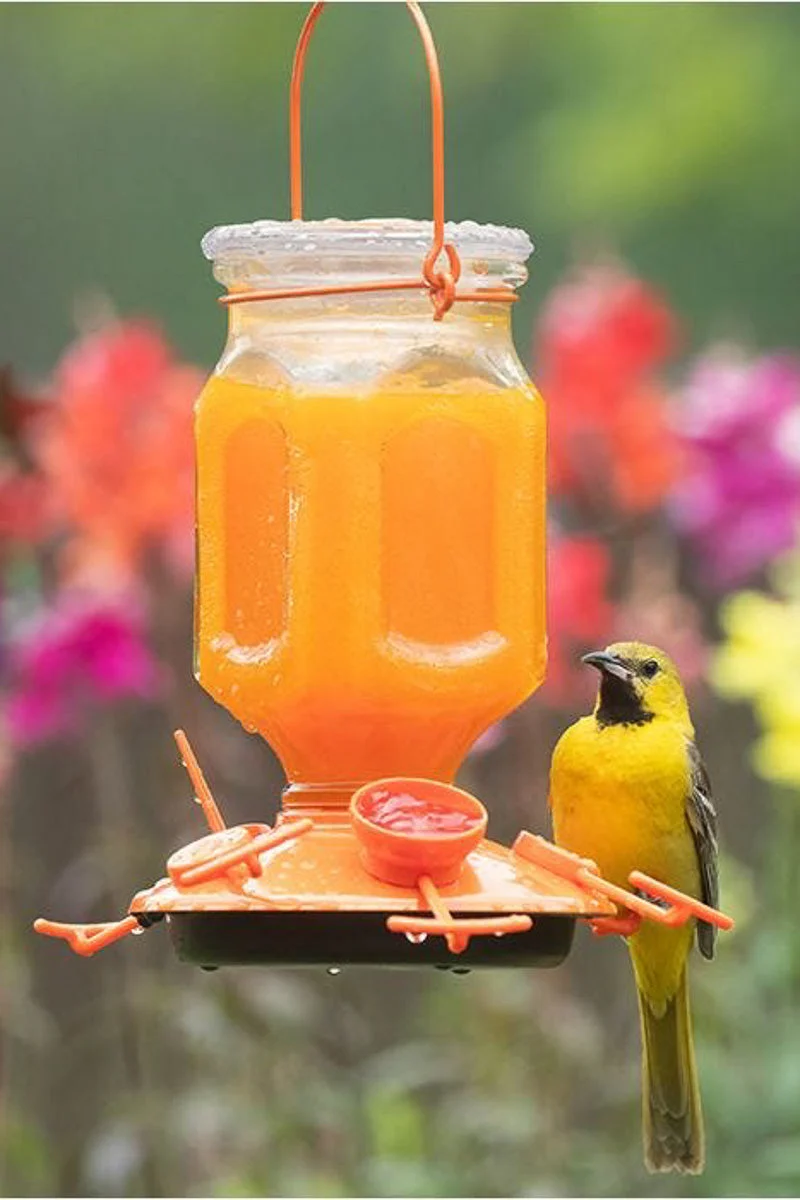 Perky Pet Ready To Use Hummingbird Nectar Orange - Image 3