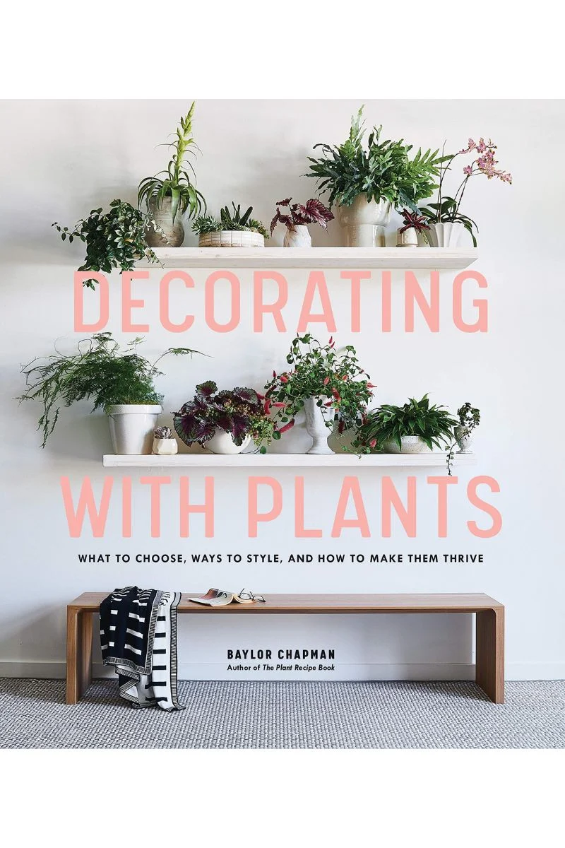 Decorating With Plants