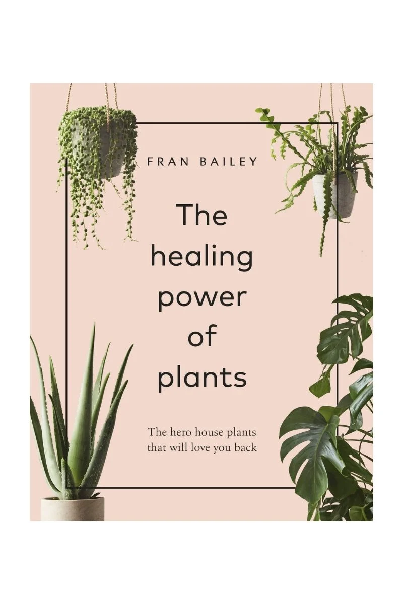 The Healing Power of Plants: The Hero Houseplants That Will Love You back