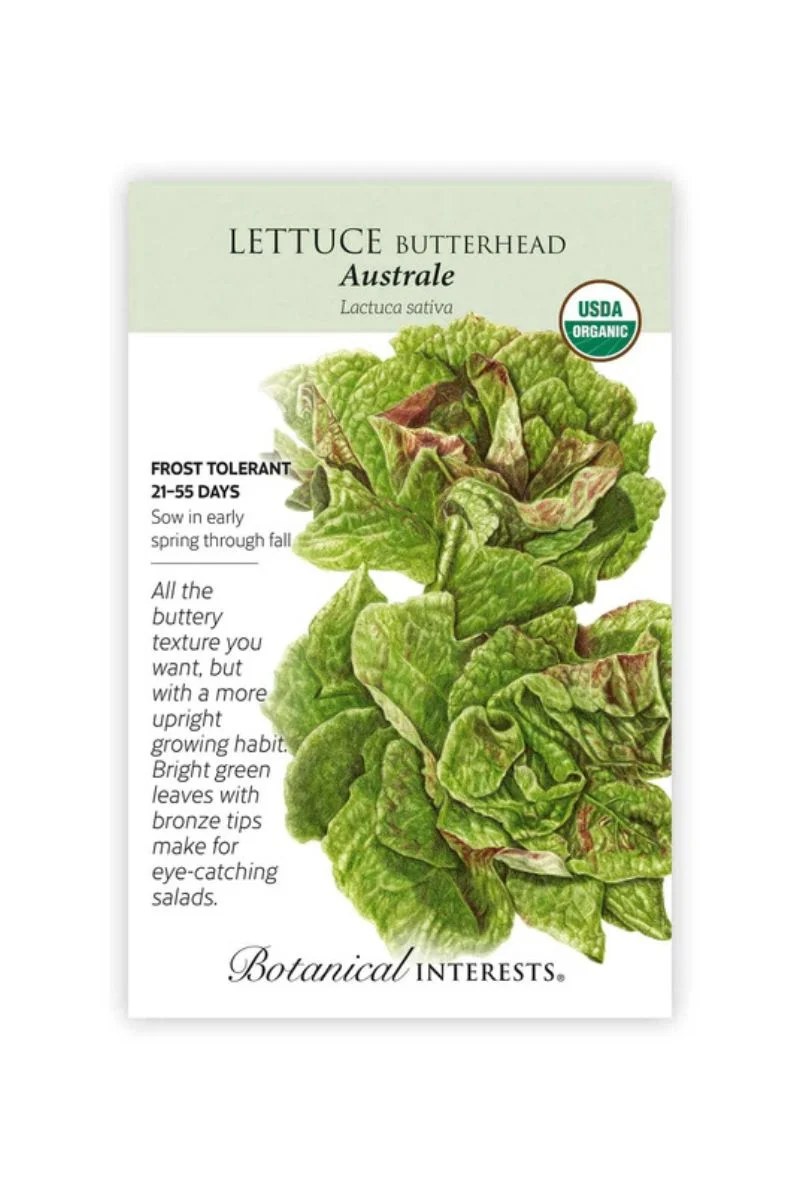 Botanical Interests Australe Butterhead Lettuce Organic Seeds