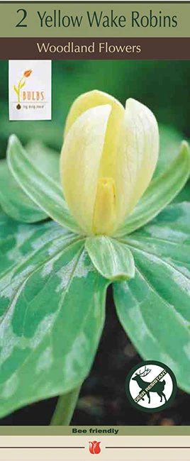 Trillium Yellow Wake 2 Pack