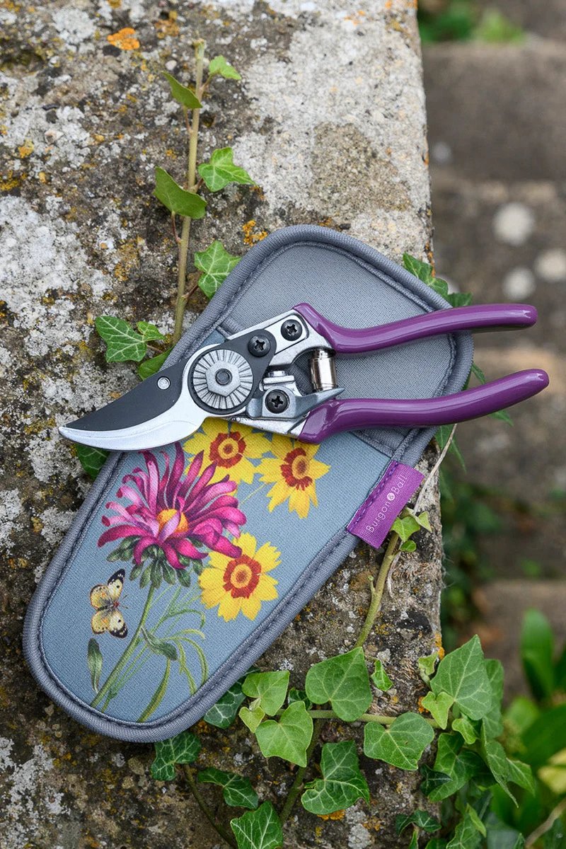 Burgon & Ball Asteraceae Pruner and Holster Gift Set
