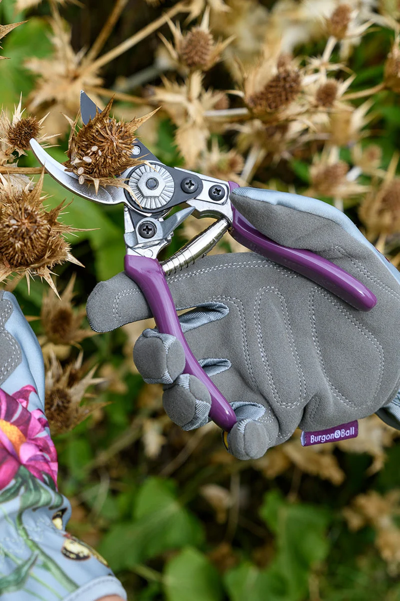 Burgon & Ball Asteraceae Pruner and Holster Gift Set - Image 2