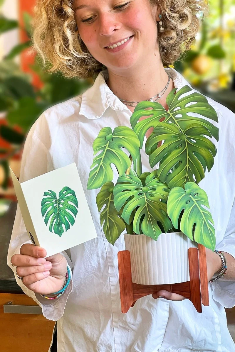 FreshCut Paper Monstera - Image 2
