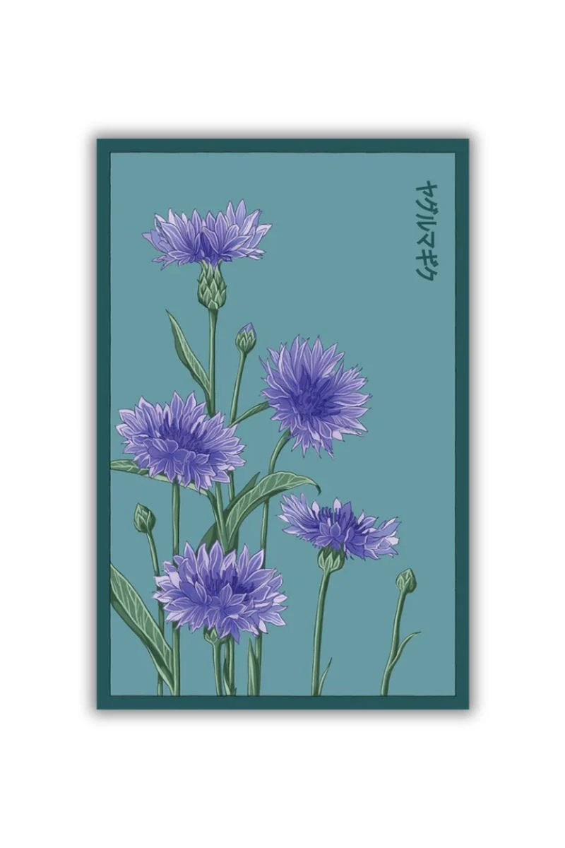 Chive Cornflower Blue Seeds