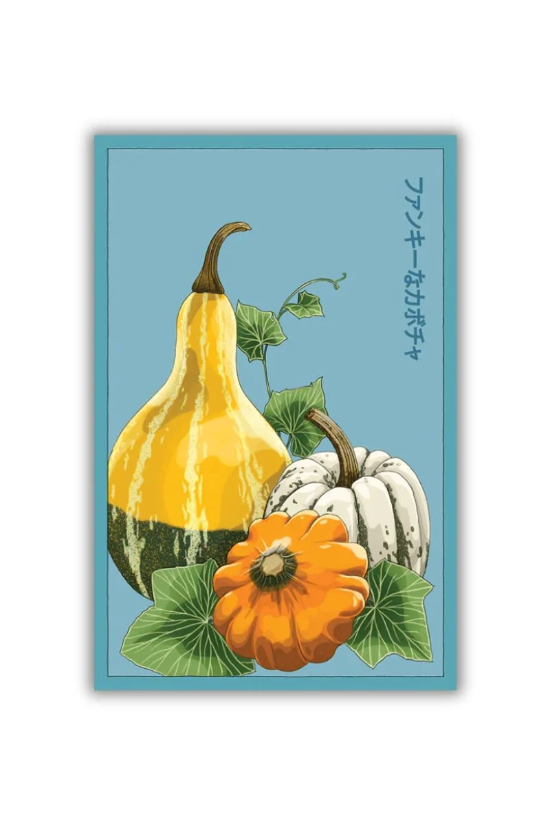 Chive Funky Squash Vegetable Seeds