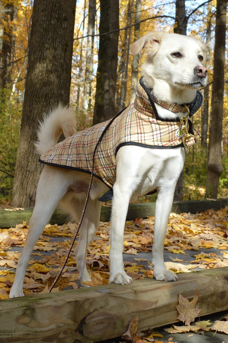 Up Country Quilted Plaid Coat Size 16