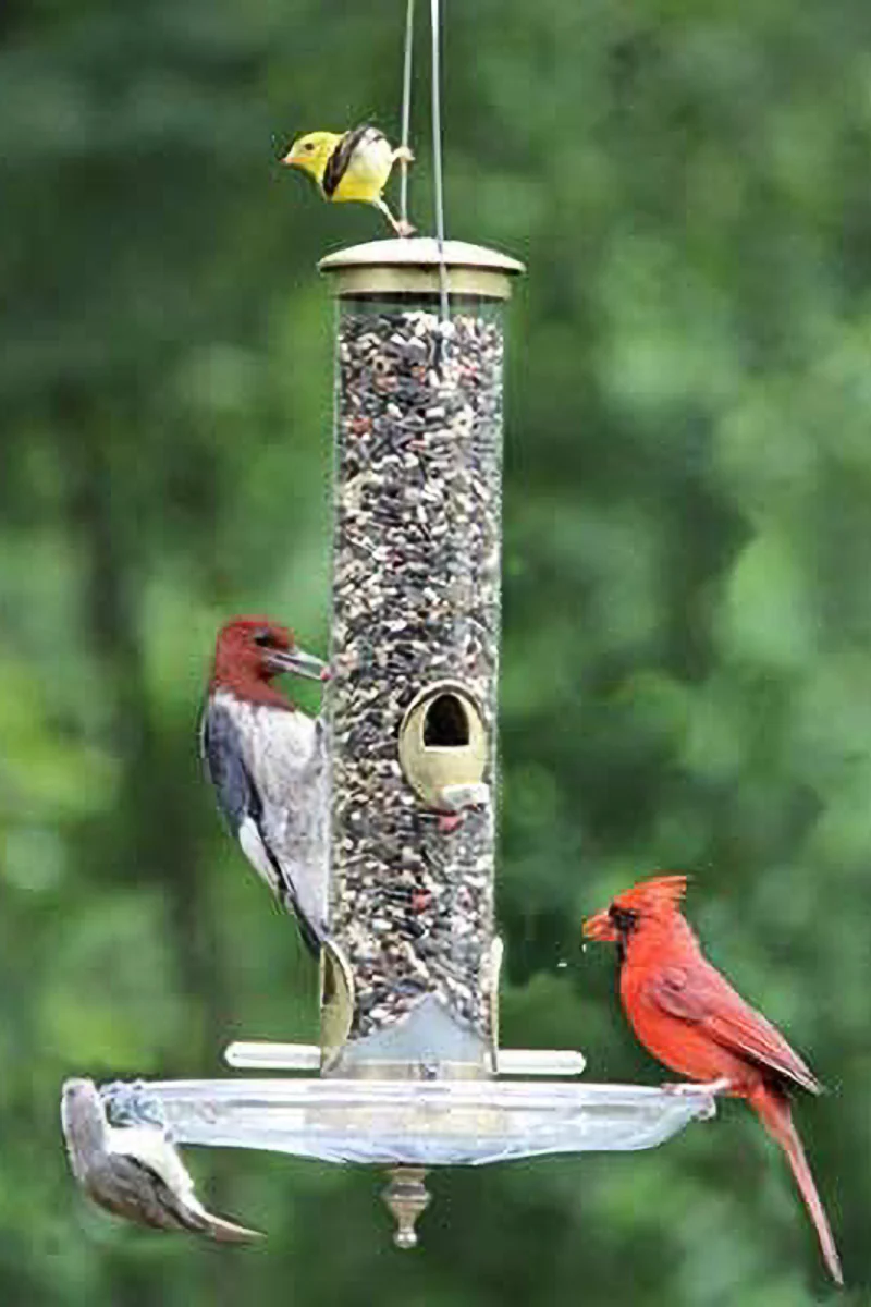Cole's Terrific Tube 4 Port Bird Feeder 19"