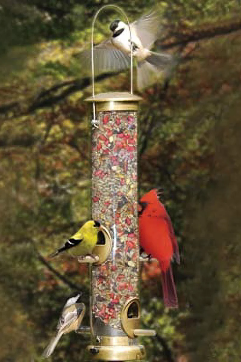Cole's Terrific Tube 4 Port Bird Feeder 19" - Image 2