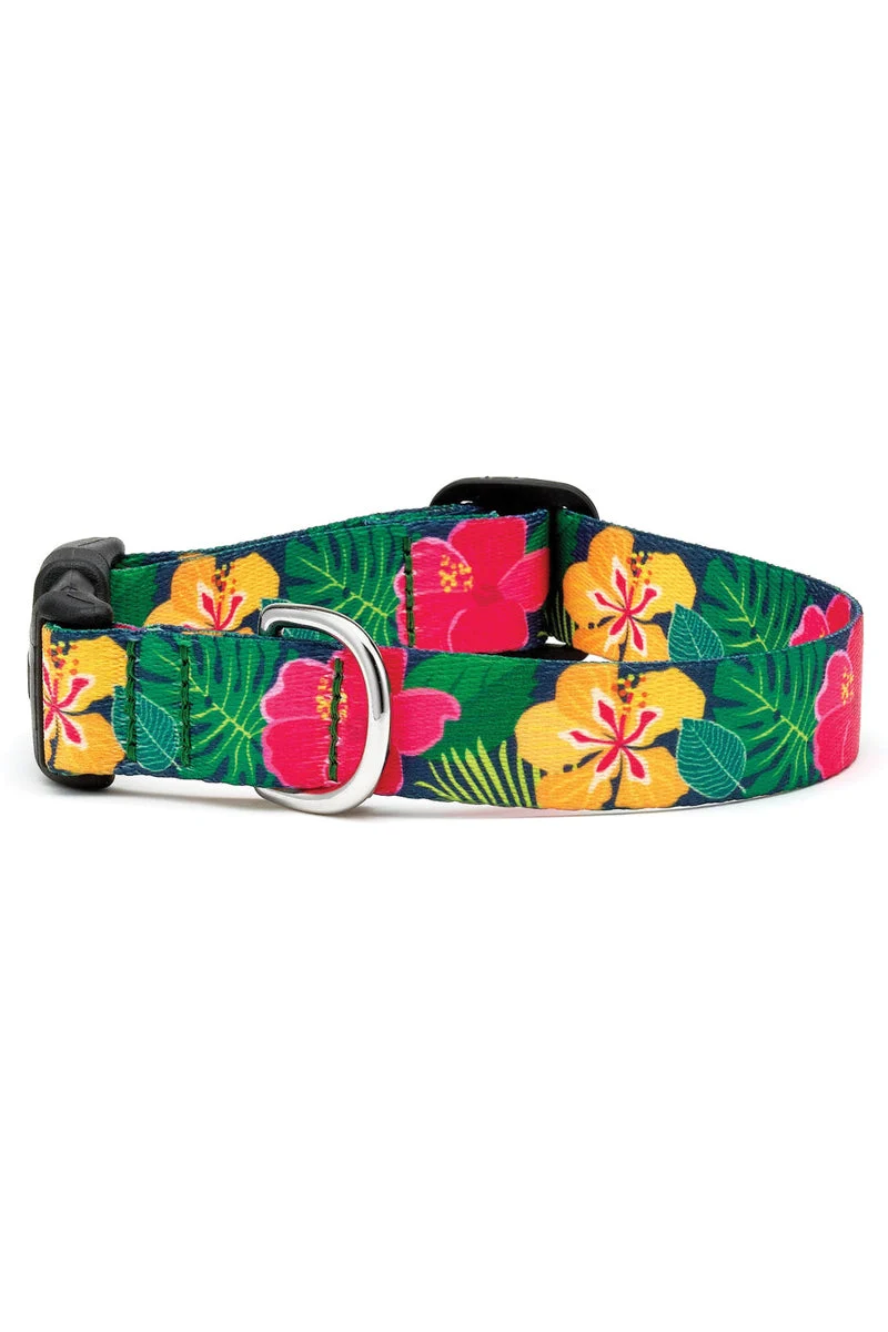 Up Country Hibiscus Dog Collar Medium Wide - Image 2