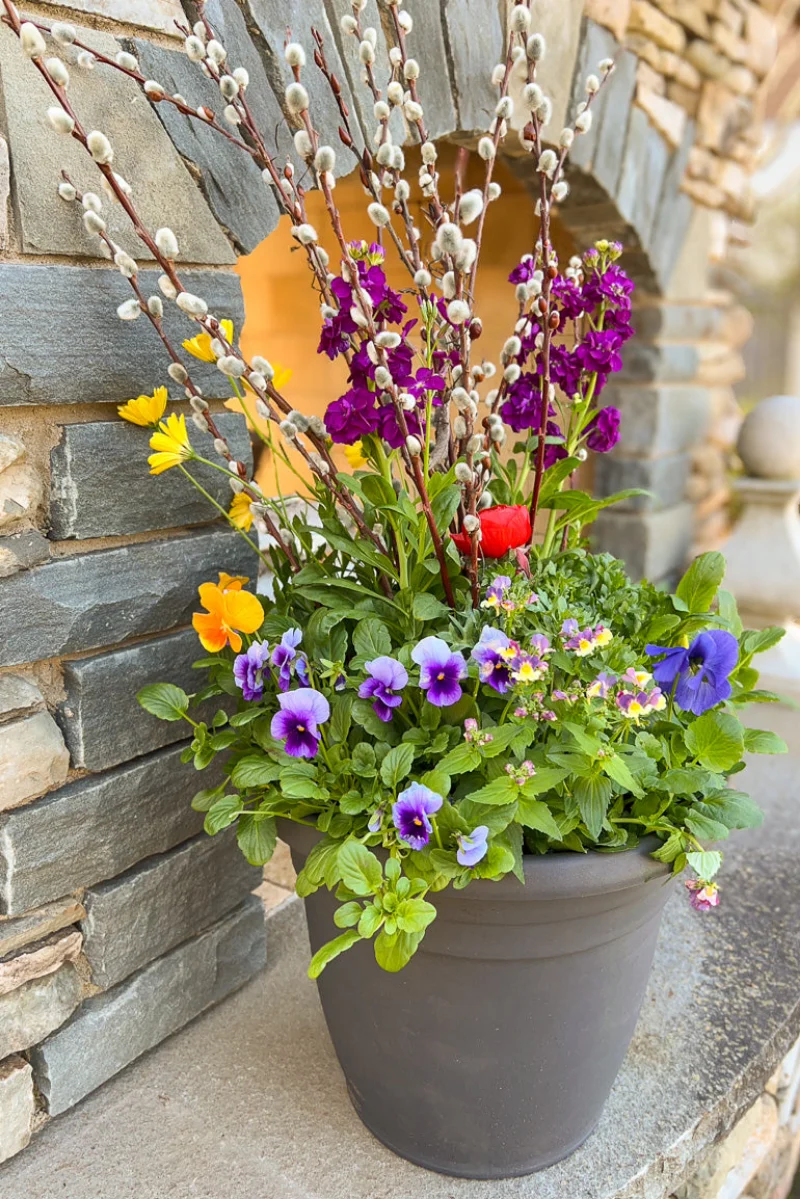 Chalet Signature | Outdoor | Spring Boho