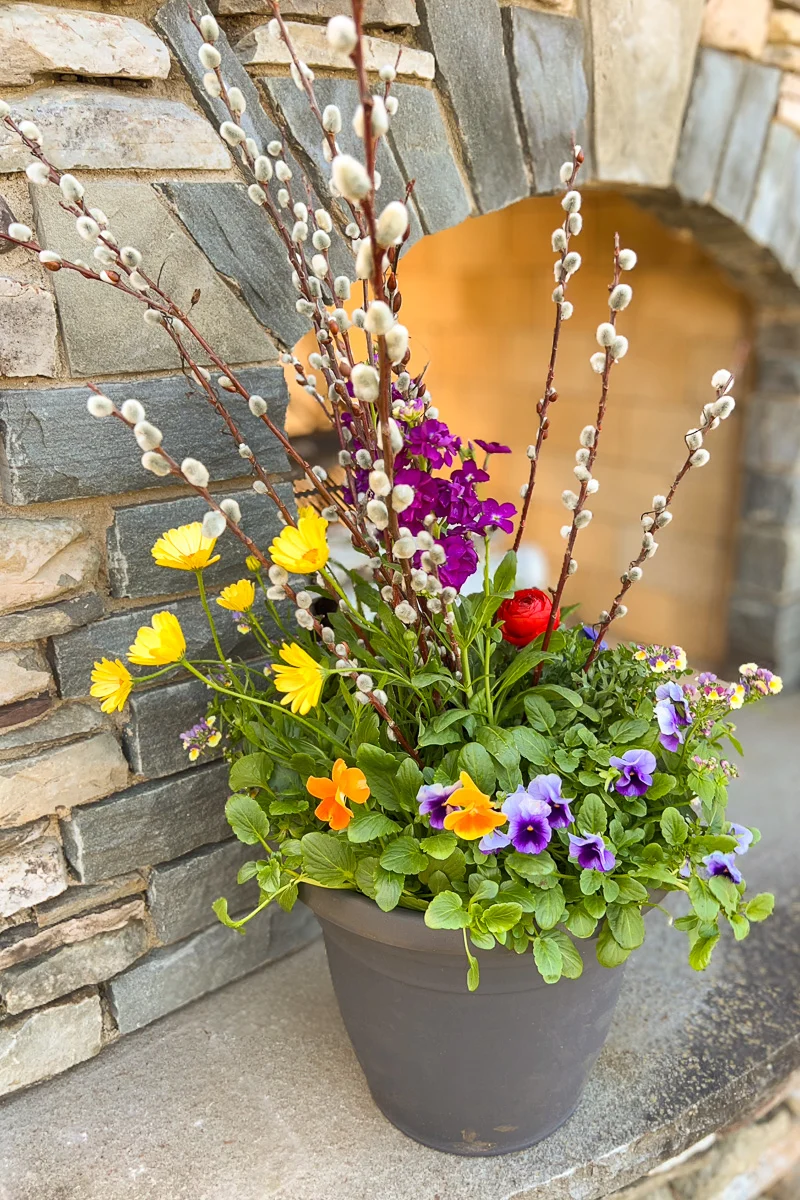 Chalet Signature | Outdoor | Spring Boho - Image 2