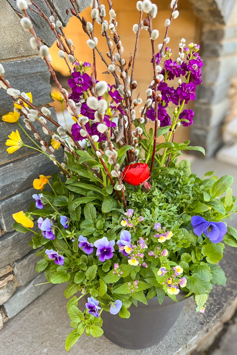Chalet Signature | Outdoor | Spring Boho - Image 4