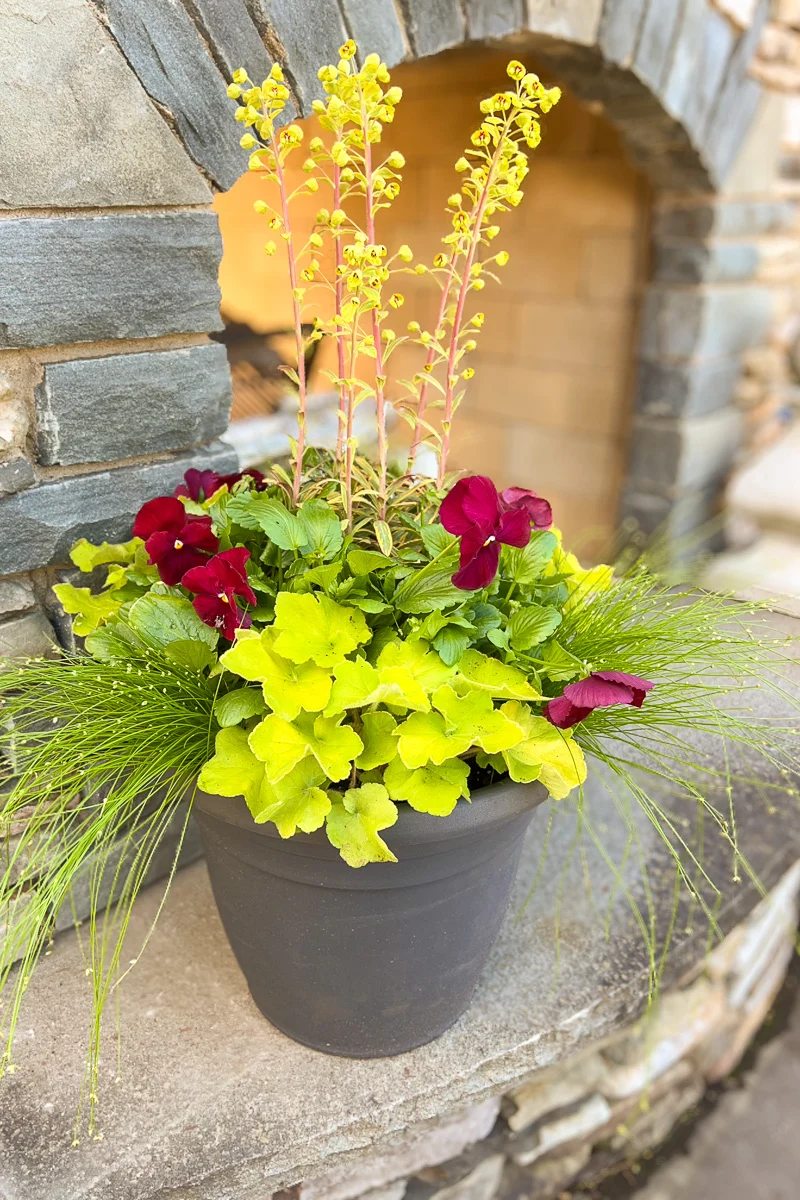 Chalet Signature | Outdoor | Spring Modern - Image 2
