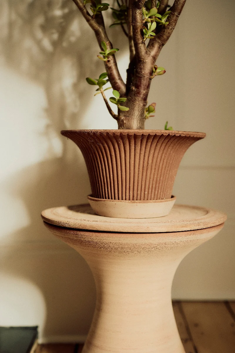 Daisy Pot With Saucer 9.8"x 5.1" RAW Rosa