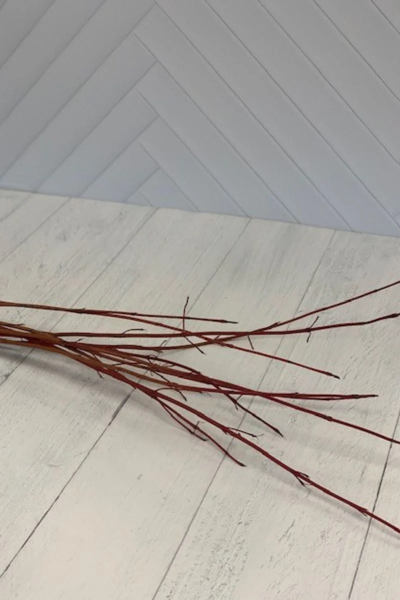 Dogwood, Cardinal Bunch Tips (24-36")