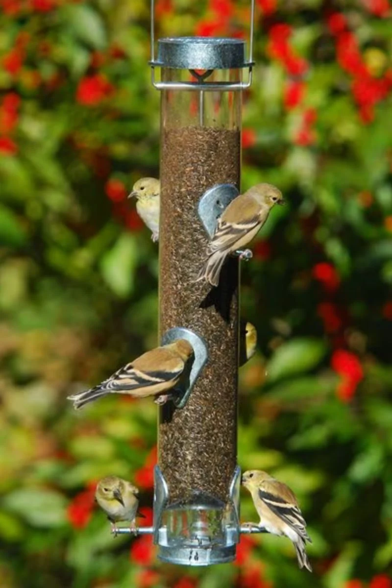 Droll Yankees Sunflower Bird Feeder with Ring Pull 16" Silver