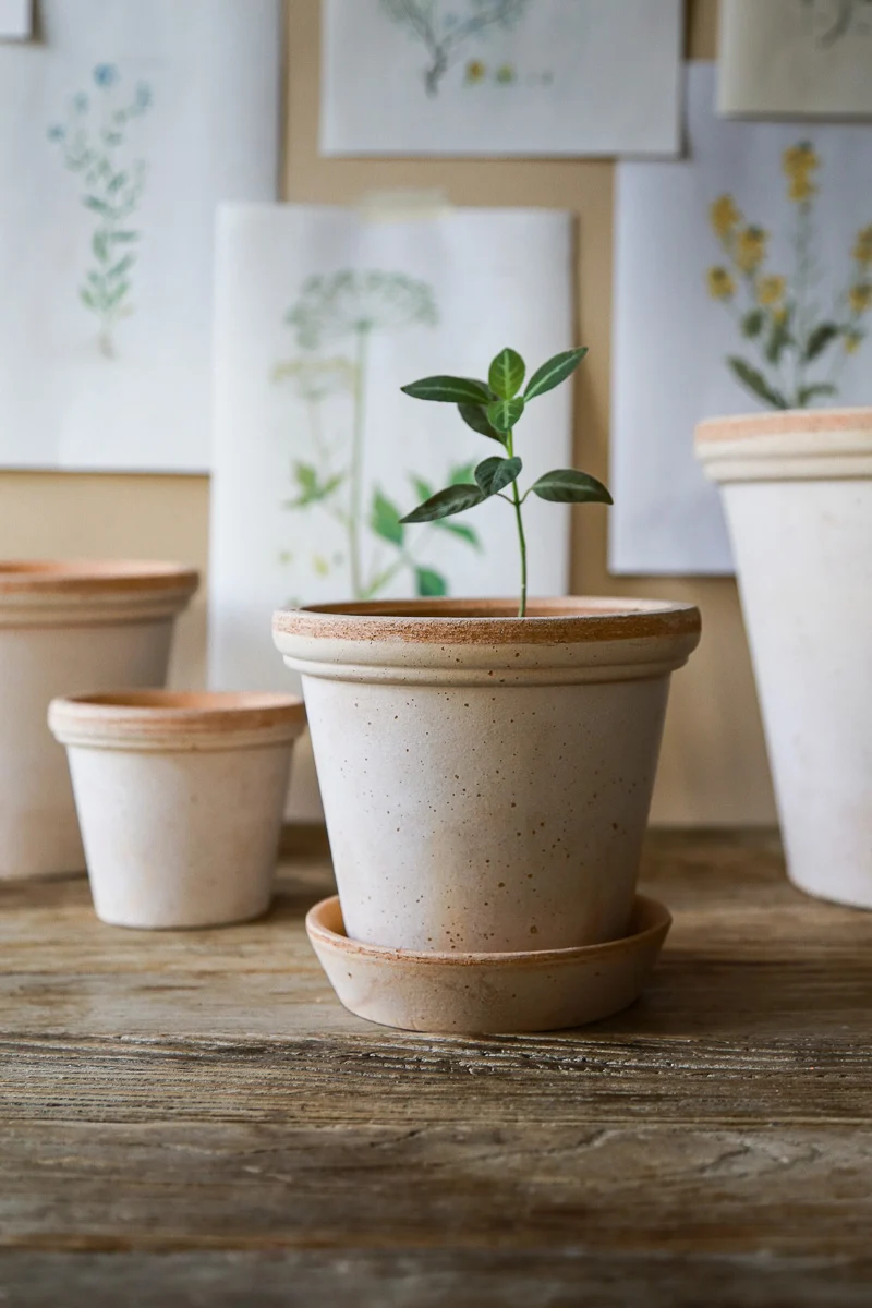 Flora Pot with Saucer 5.5"x5.1" RAW Rosa