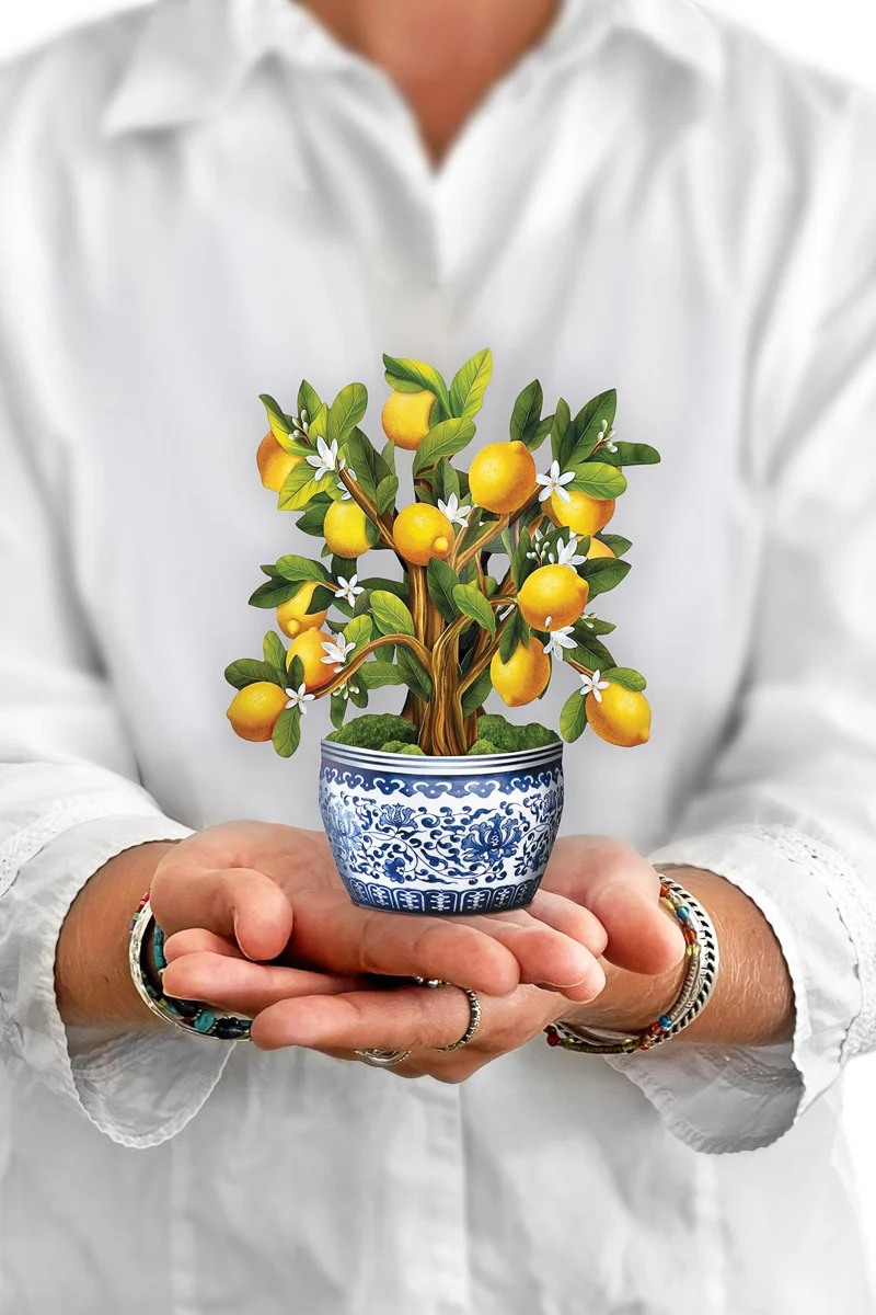 FreshCut Paper Mini Lemon Tree - Image 3
