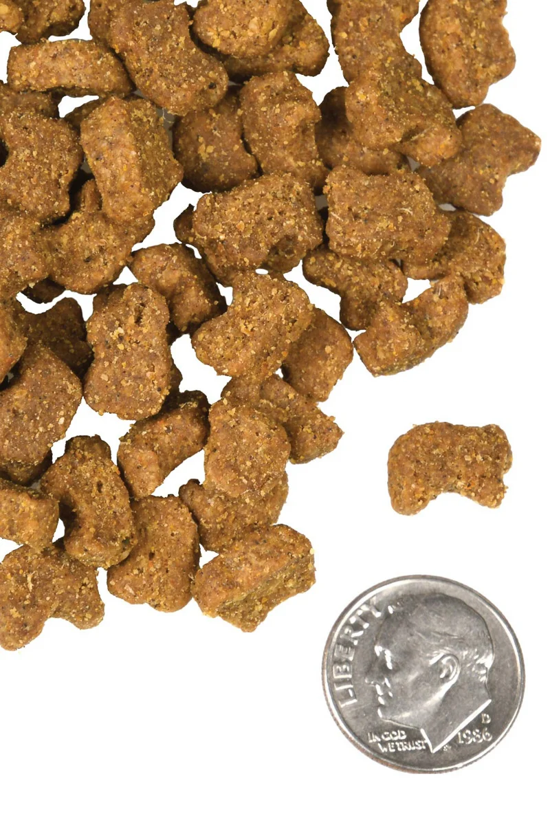 Fromm Lamb & Lentil 26 lb - Image 2