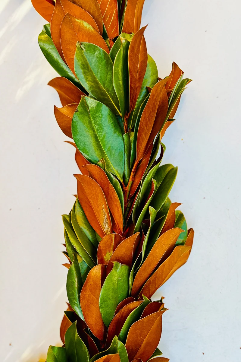 Magnolia, Original Garland 6' - Image 2