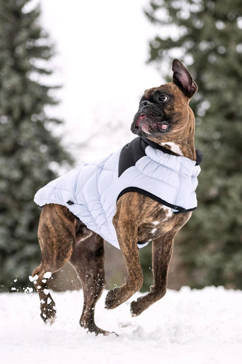 GF Pet Diamond Puffer Coat 4XL Blue