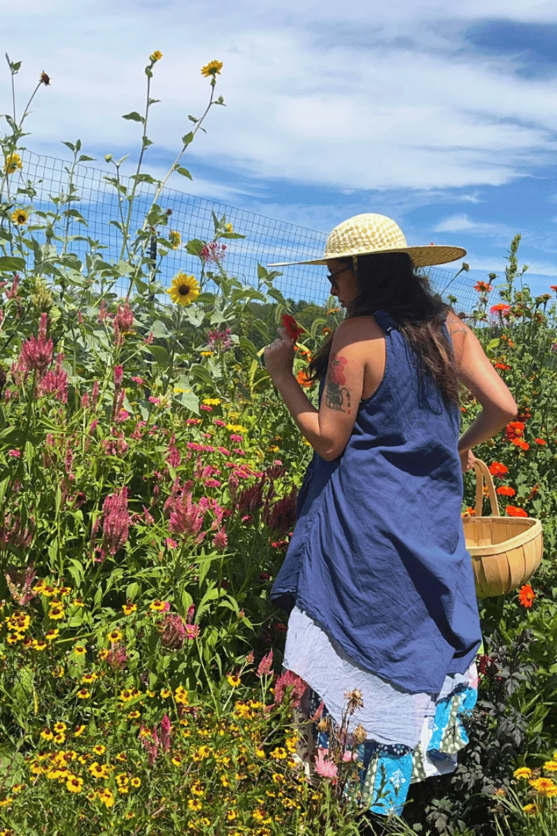 Hudson Valley Seed Co. Cottage Garden Mix Seeds - Image 2