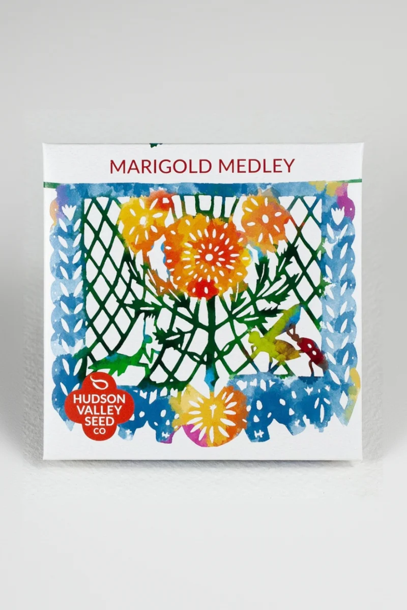Hudson Valley Seed Co. Marigold Medley Seeds