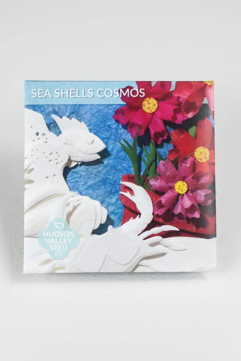 Hudson Valley Seed Co. Sea Shells Cosmos Seeds