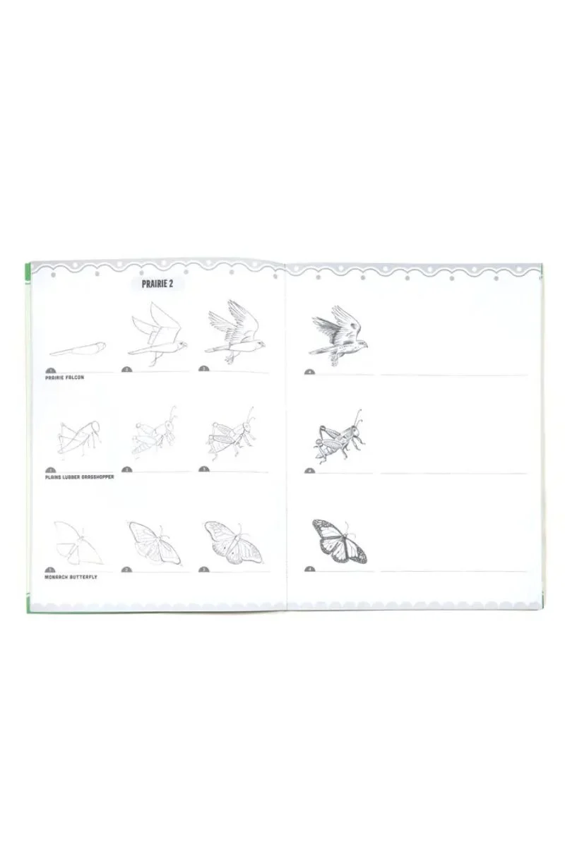 Learn to Draw Bugs, Birds, & Butterflies With Stickers - Image 3