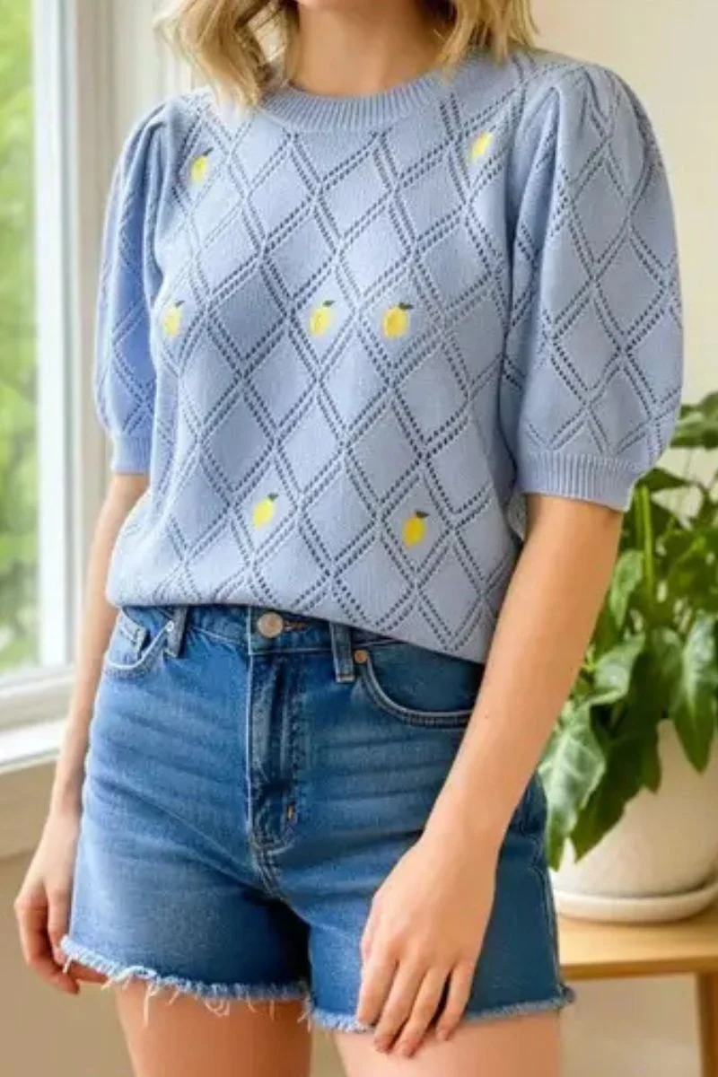 Lemon Embroidered Sweater Large Chambray