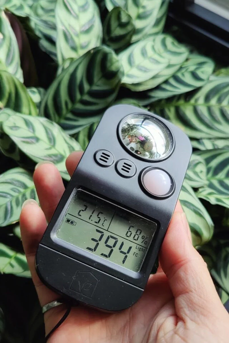 METER, LTH - Image 2