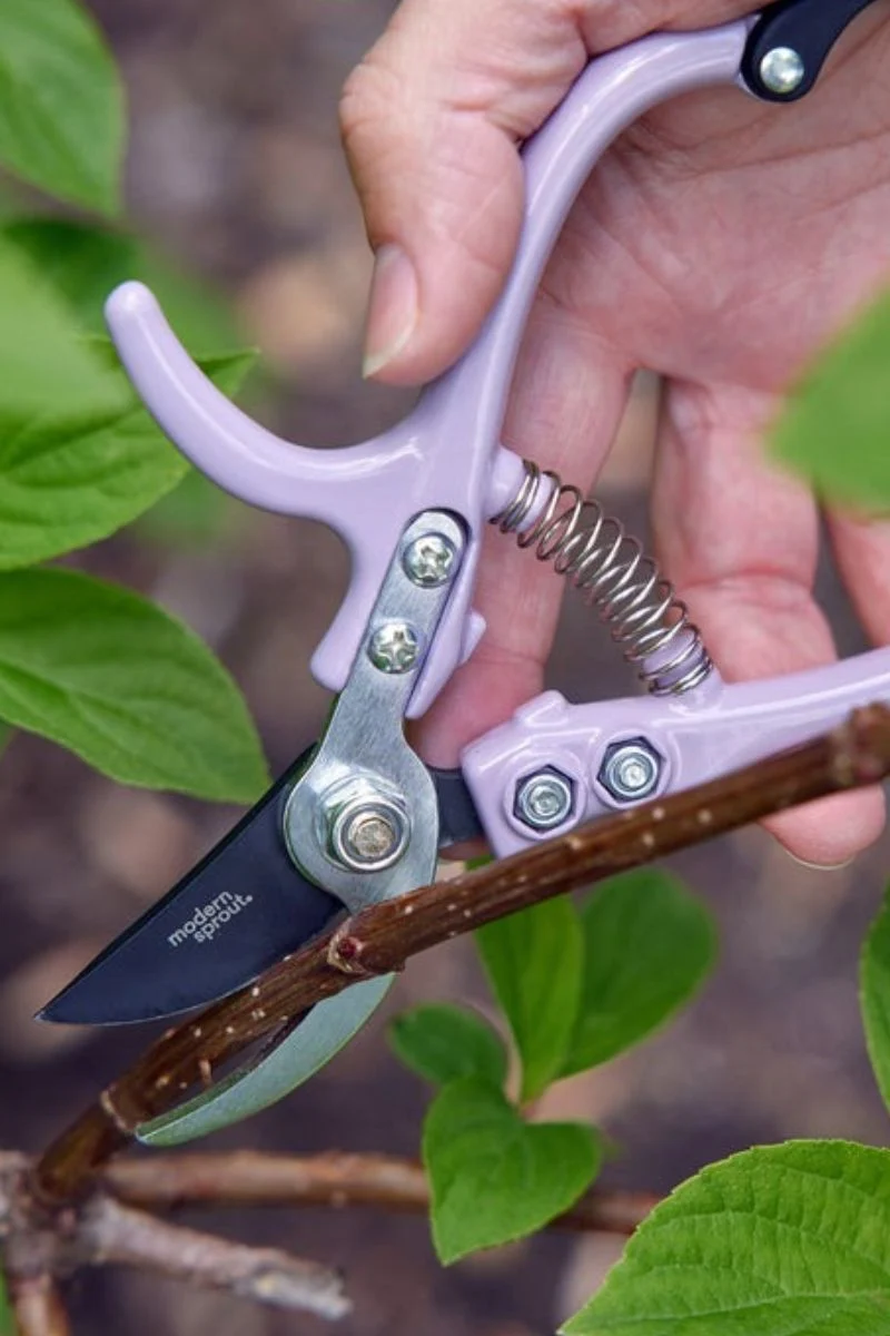 Modern Sprout Pruners Lavender - Image 2