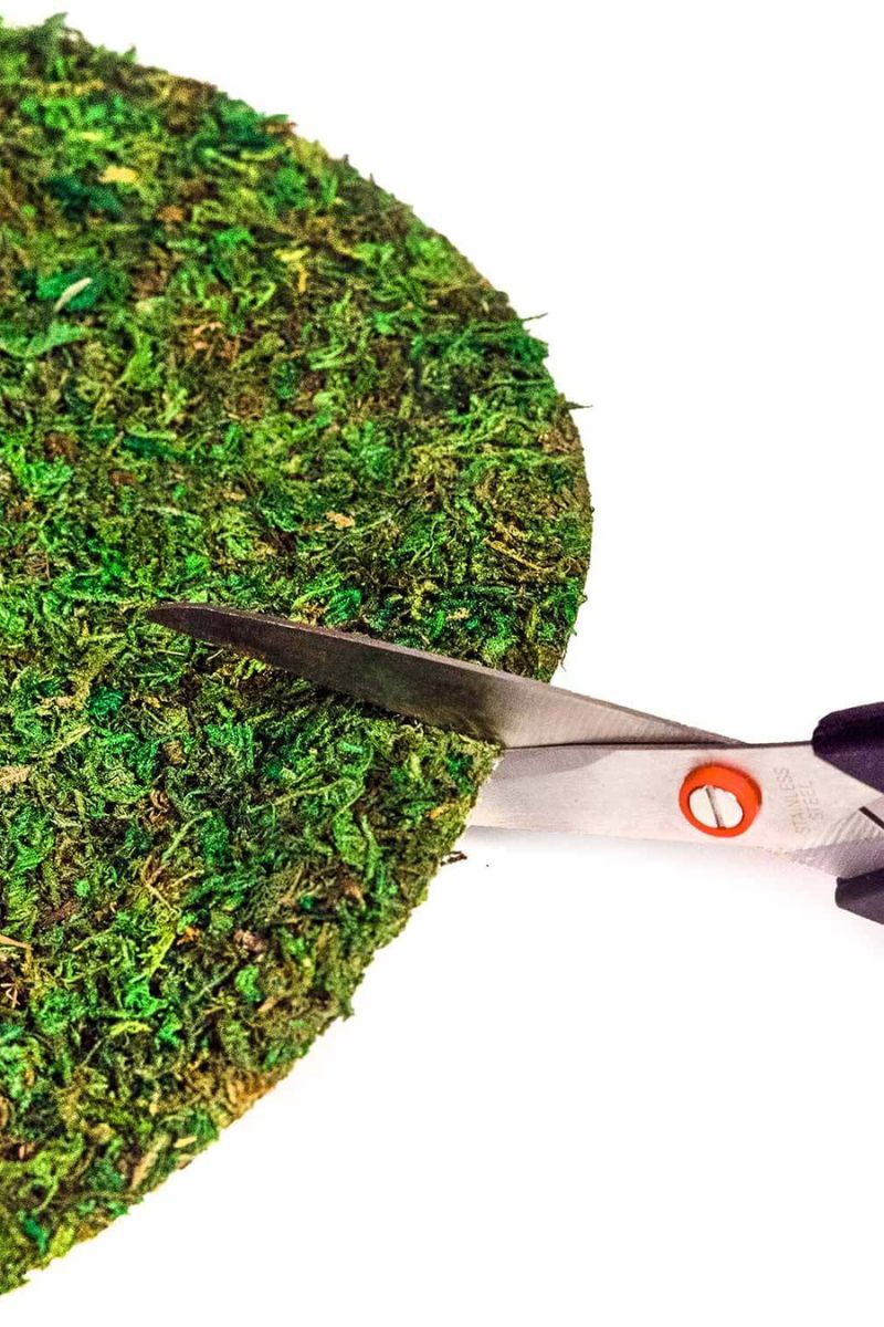 SuperMoss Instant Green Soil Toppers 14" Round 3 Pack - Image 3