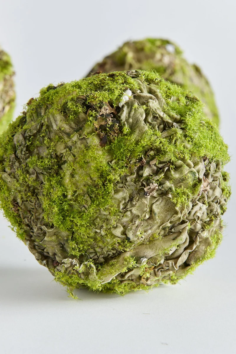 Napa Mossy Lichen Orb 4" Natural
