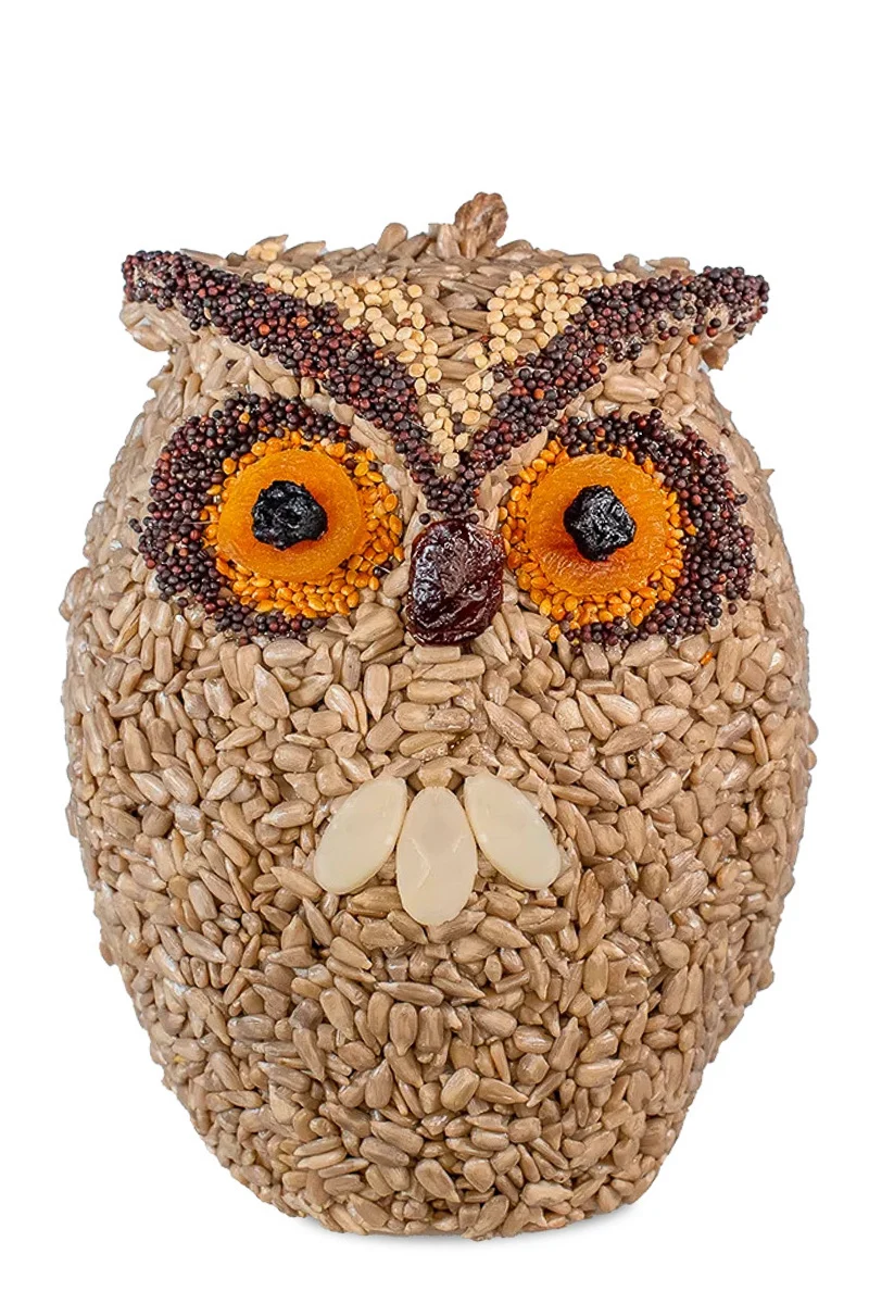 Mr. Bird Whoo-lio The Owl - Image 2