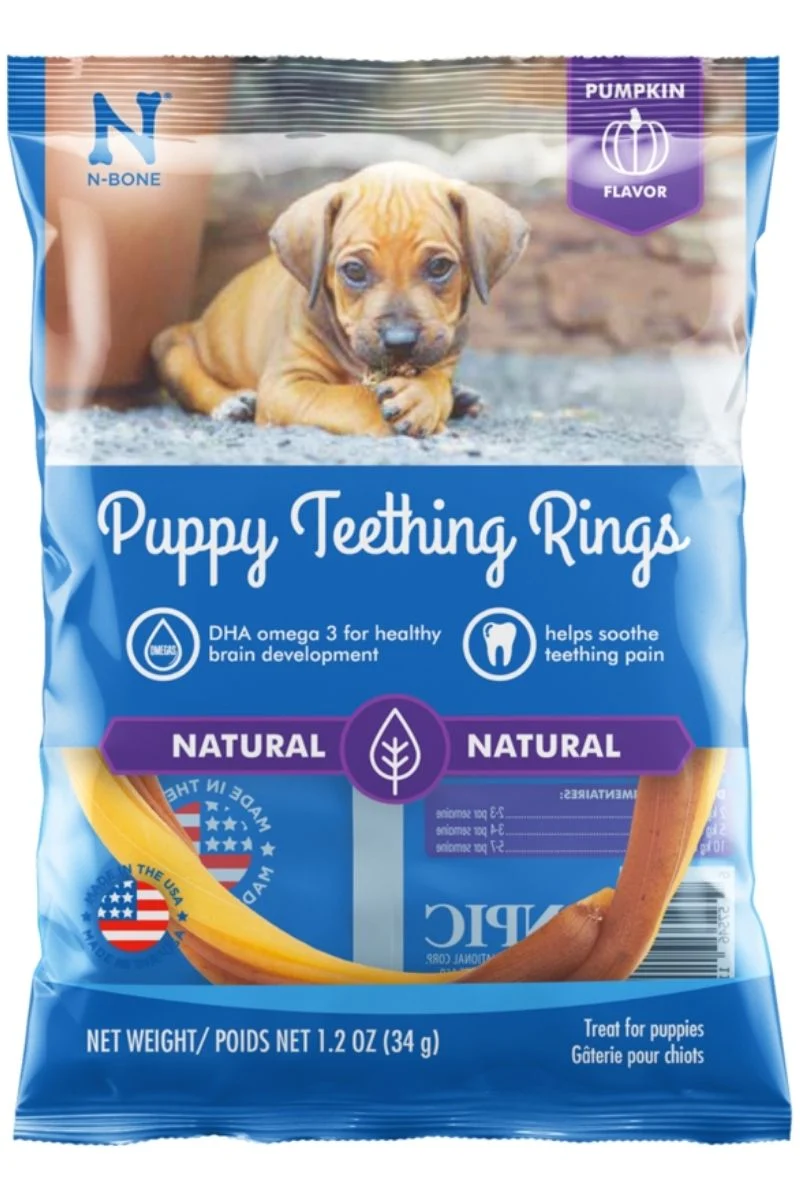 N-Bone Puppy Teething Ring Pumpkin Flavor - Image 2