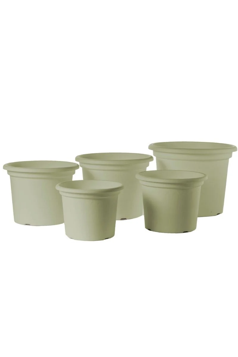 Geo Planter 11.75" Rosemary