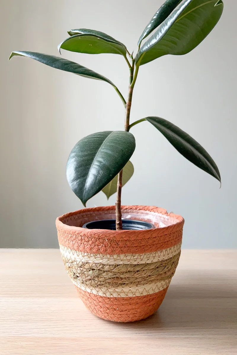 Kaemingk Paper Rope Round Planter Small