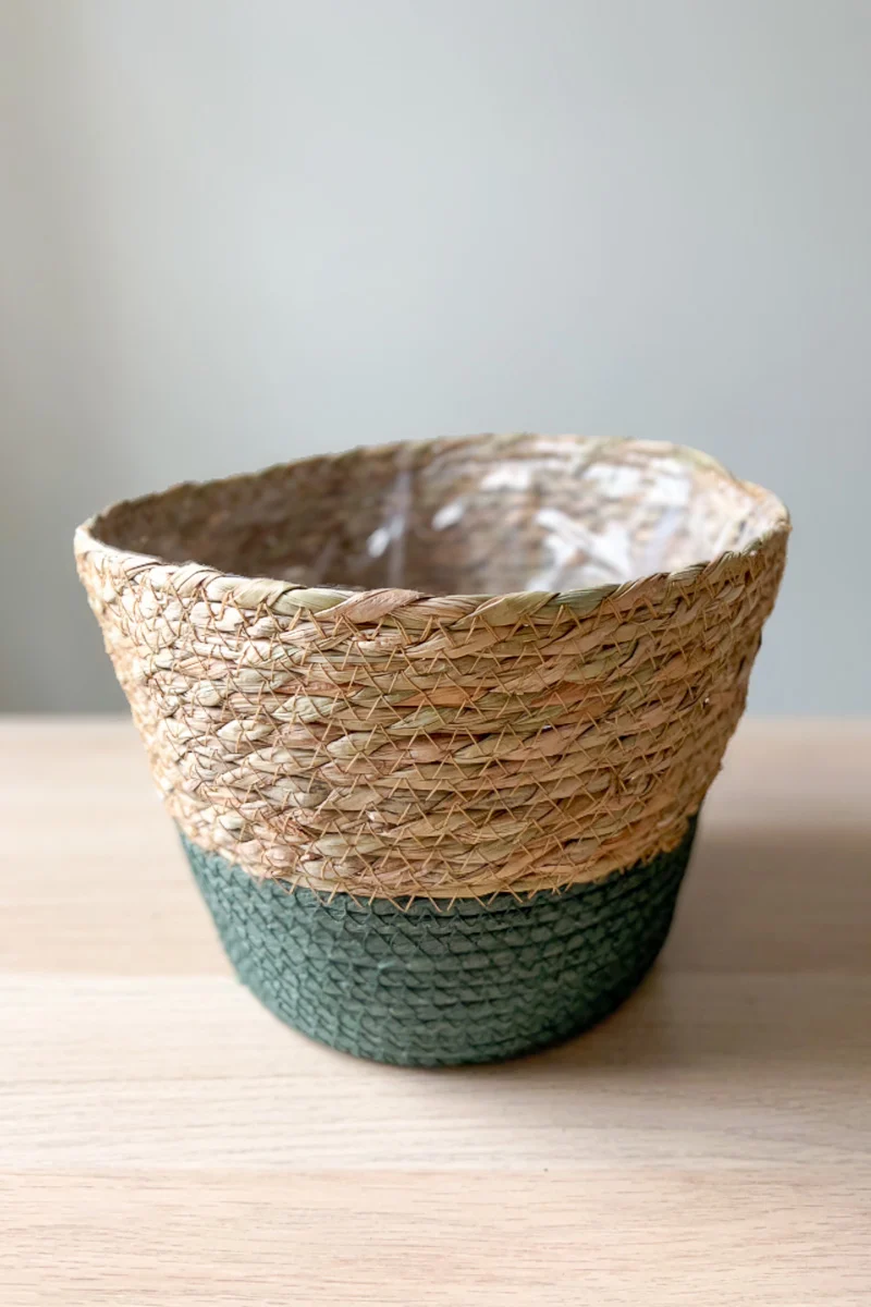 PLANTER RUSH GRASS GRN RIM LG