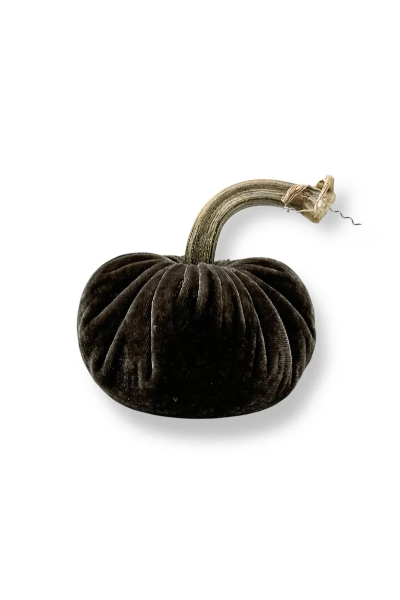 Plush Pumpkin Velvet Pumpkin 5" Coal