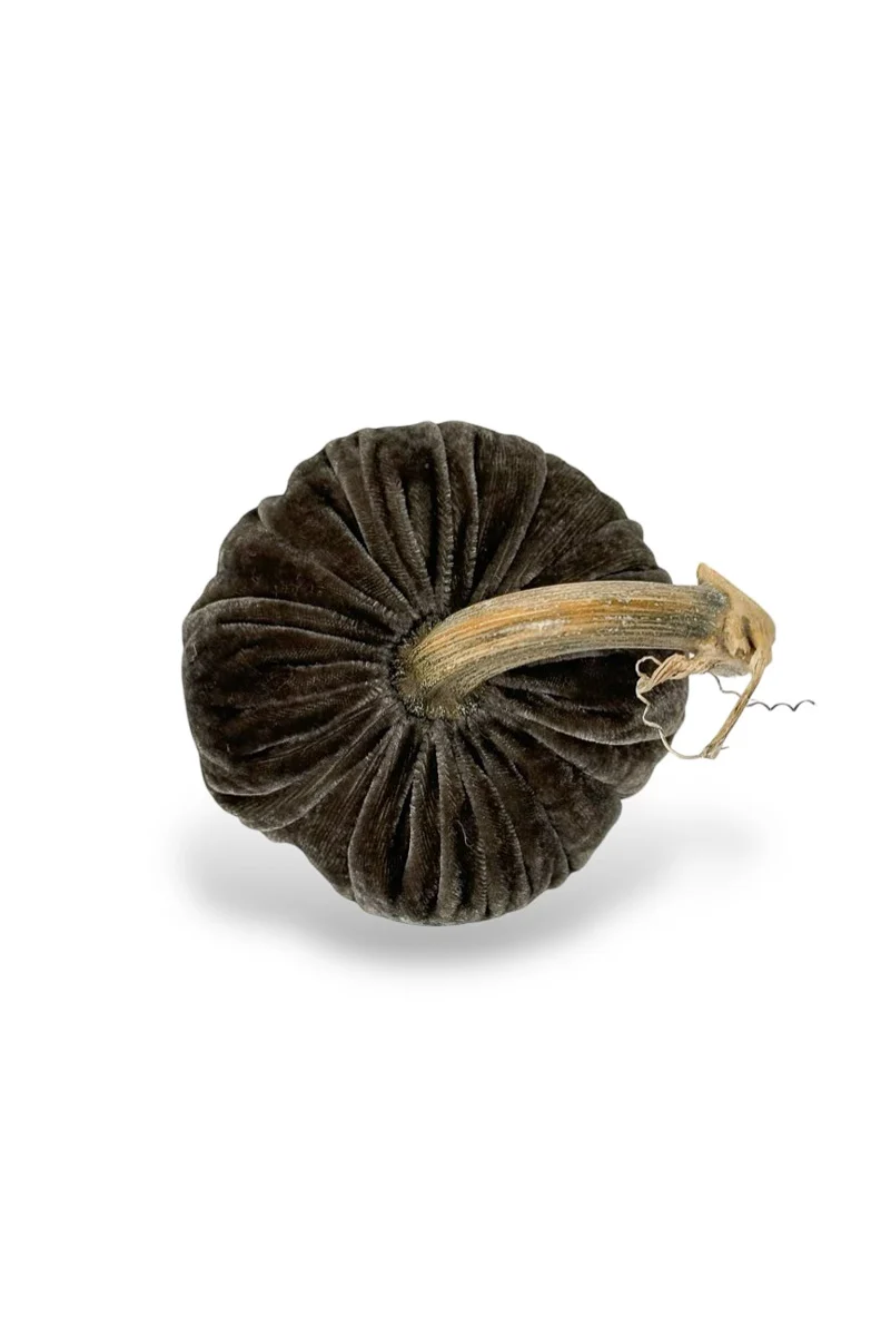 Plush Pumpkin Velvet Pumpkin 5" Coal - Image 2