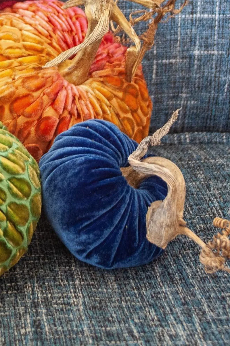 Plush Pumpkin Velvet Pumpkin 5" Sapphire