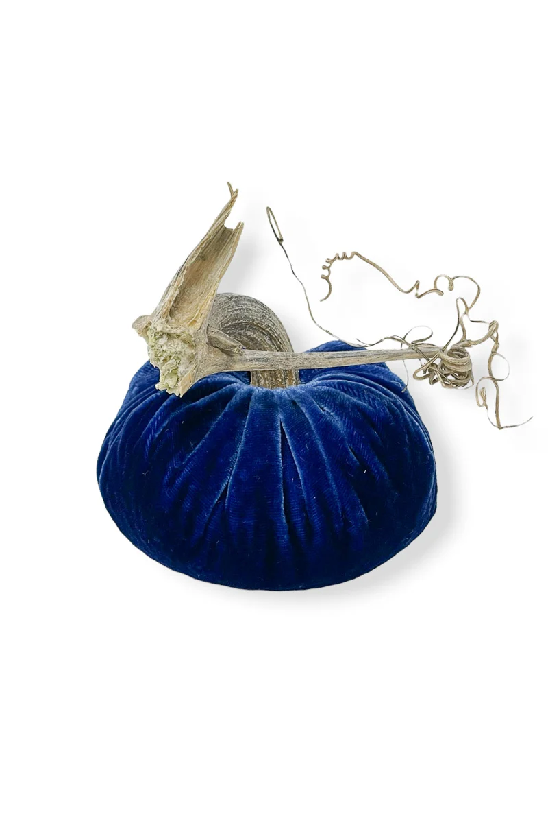 Plush Pumpkin Velvet Pumpkin 5" Sapphire - Image 2