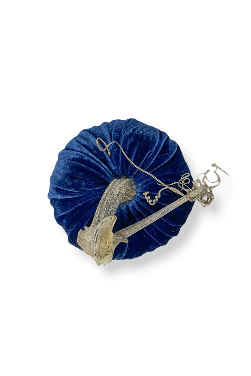Plush Pumpkin Velvet Pumpkin 5" Sapphire - Image 3