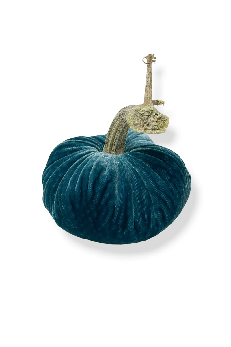Plush Pumpkin Velvet Pumpkin 6" Peacock - Image 2